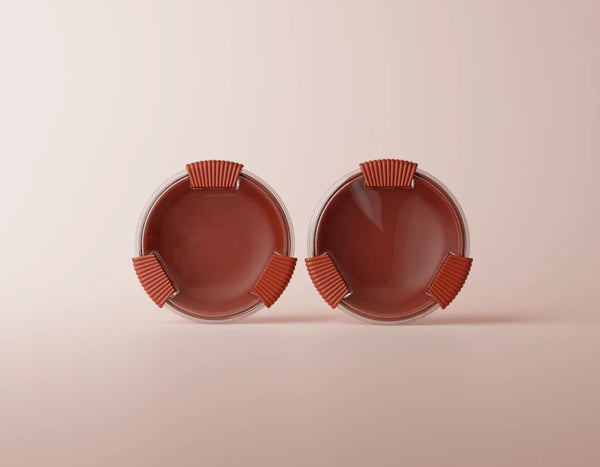 FICHE PRODUIT BINIBOX TERRACOTTA   bundle 2  90